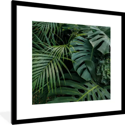 Produktbild von MuchoWow® Gerahmtes Poster Pflanzen - Dschungel - Blätter - Tropisch 40x40 cm - Poster mit Schwarzem Bilderrahmen Wandposter Rahmen Foto Bilder - Poster - Plakat im Rahmen