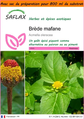 Image de SAFLAX Garden in the bag - Brède mafane - 500 graines - Acmella