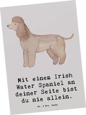 Produktbild von Mr. & Mrs. Panda Postkarte Irish Water Spaniel Begleiter - Grau Pastell - Geschenk, Fotokarte, Ansichtskarten, Hunderassen Pflege, einzelkarte, Freund fürs Leben