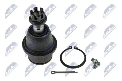 Produktbild von NTY Traggelenk Vorne Unten für DODGE RAM 1500 Pick-up (D1, DC, DH, DM, DR) ZSD-FR-007