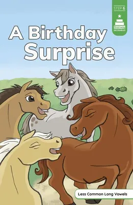 Produktbild von A Birthday Surprise