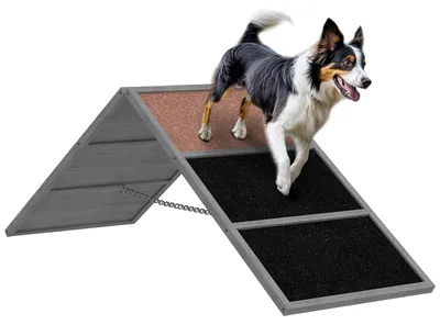 Produktbild von Hunde Agility Steg, h?henvertstellbar Agility-Ausrš¹stung mit bis 40 fš¹r Haustiere zu Hause und unterwegs