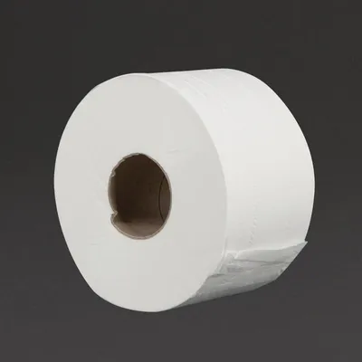 Obrázok produktu pre Toaletný papier Jantex Mini Jumbo 2-vrstvový 12 kusov