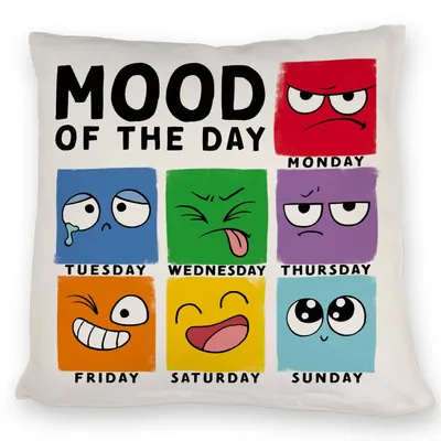 Produktbild von Emotionen Kissen mit Spruch Mood of the Day