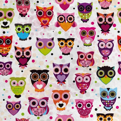 Image de Royal Velvet Tissu Polyester A coudre - Motif hiboux multicolores 2