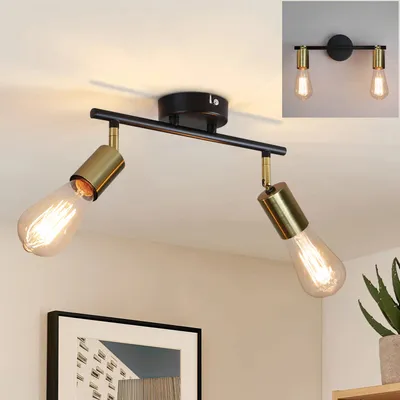A close-up view of a black and gold ceiling light fixture with two exposed Edison-style bulbs, mounted on a white ceiling. A framed picture and a potted plant are visible in the background.