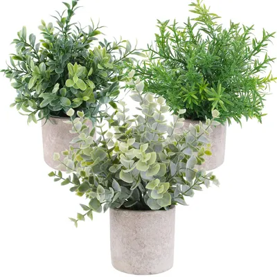 Obrázok produktu pre 3 kusy miniatúrnych umelých rastlín v kvetináči – eukalyptus, boxwood (bukvica) a rozmarín