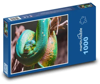 Obrázek produktu pro martinpuzzle - Puzzle 1000 - Krajta - terarium, had