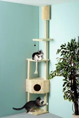 Produktbild von Cat Bonbon Cat Dream Eck-Kratzbaum beige