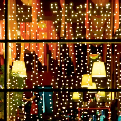 Immagine prodotto di Catena luminosa a LED, 20 fili / 20 LED, luce bianca calda, per uso esterno