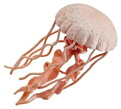 Produktbild von Safari Ltd Jellyfish Sea Life Figur Orange From 3 Years Orange From 3 Years
