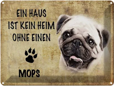 Produktbild von vianmo Blechschild 30x40 cm Mops Hund