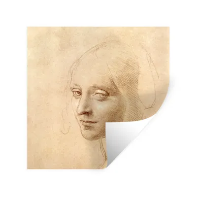 Produktbild von MuchoWow® Wandtattoo Wandsticker Wandaufkleber Skizze - Leonardo da Vinci 100x100 cm Selbstklebend und Repositionierbar - Wierderverwendbar - Selbstklebend