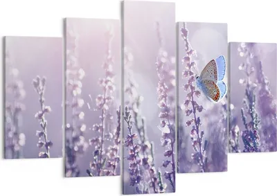 Produktbild von Bild auf Leinwand - Leinwandbild - Schmetterling Wiese Blume - 150x100cm - Wand Bild - Wanddeko - Leinwanddruck - Bilder - Kunstdruck - Wanddekoration - Leinwand bilder - Wandkunst - EA150x100-4014