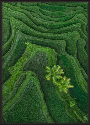 Produktbild von Bildplakat im Rahmen 43x33 cm Bali P1146