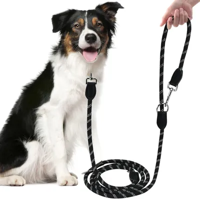Imagen del producto de Correa para perros grandes, de 3 metros, con doble correa y 3 mosquetones, ajustable, reflectante, para
