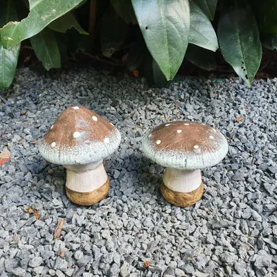 Produktbild von Gartenfigur Pilz Figur 2er Set 8 cm Fliegenpilz