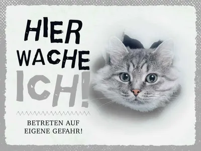 Produktbild von vianmo Holzschild 30x40 cm Katze hier wache eigene Gefahr Tier Haustier