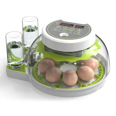 Produktbild von Wachtel-Eier-Brutautomat für 8 Eier, mit automatischer Ei-Wendung und Feuchtigkeitskontrolle, kleiner Aufzuchtkasten, geeignet für Wachteln, Papageien