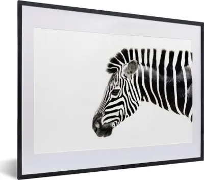Produktbild von MuchoWow® MuchoWow® Gerahmtes Poster Zebra - Tiere - Weiß 40x30 cm - Poster mit zchwarzem Bilderrahmen - Bilderrahmen - Poster im Rahmen