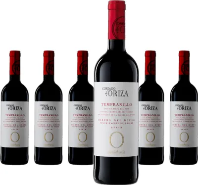 Produktbild von 6 x Condado De Oriza Tempranillo Ribera Del Duero