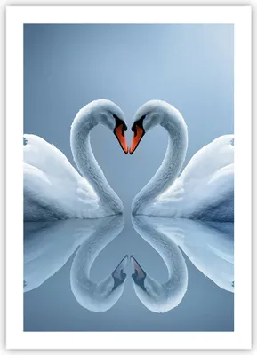 Produktbild von Poster - Poster ohne Rahmen - Ladung Dampf Wasser - 50x70 cm - Wand Bild - Wanddeko - Wandbilder - Kunstposter - Wandposter - Bilder - Kunstdruck - Wanddekoration - Wandbild - P2XPA50x70-3541