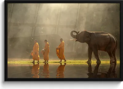 Produktbild von MuchoWow® MuchoWow® Gerahmtes Poster Elefant - Wasser - Tiere - Natur 90x60 cm - Poster mit zchwarzem Bilderrahmen - Fotorahmen - Foto-Plakat