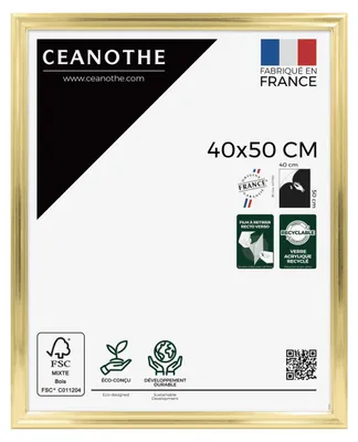 Image de Ceanothe cadre photo Julia 40x50 cm or