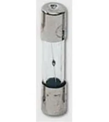 Image de LX3029 0.8A Fusible pour appareils WTA 0.8A 20MM