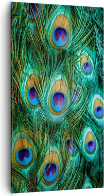 Produktbild von Bild auf Leinwand - Leinwandbild - Einteilig - Pfauen Feder Makro - 55x100cm - Wand Bild - Wanddeko - Wandbilder - Leinwanddruck - Bilder - Wanddekoration - Leinwand bilder - Wandbild - PA55x100-4159