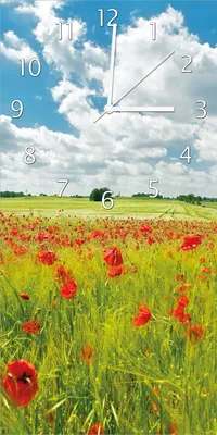 Produktbild von Wallario Design Wanduhr Grüne Wiese mit Mohnblumen aus Echtglas, Größe 30 x 60 cm
