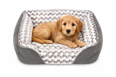 Produktbild von Hunde- und Katzenbett 80 x 50 cm – weich, warm und bequem