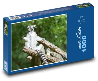 Obrázek produktu pro Puzzle 1000 Opice - relaxující lemur - martinpuzzle