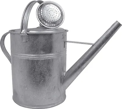 Produktbild von PROREGAL Verzinkte Gießkanne 9 Liter mit Brauseaufsatz