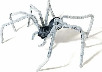 Produktbild von Halloween-Dekoration Spinne