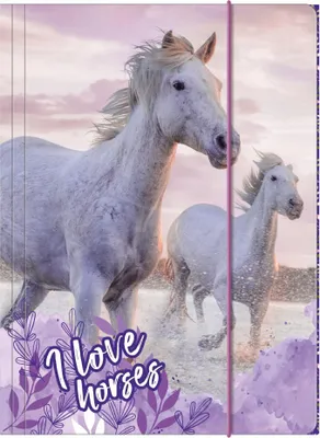 Image de Chemise avec élastique A4 Cheval 25 Derform