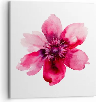 Produktbild von Bild auf Leinwand - Leinwandbild - Malerei Illustration Sommer Blume - 70x70cm - Wand Bild - Wanddeko - Leinwanddruck - Bilder - Kunstdruck - Leinwand bilder - Wandkunst - AC70x70-2789