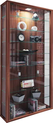 Produktbild von Wandvitrine Glasvitrine Vitrosa Maxi