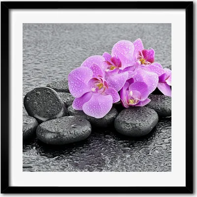 Produktbild von Bild - 50 cm x 50 cm - MDF - Rahmen, Wandkunst - Orchideen Steine