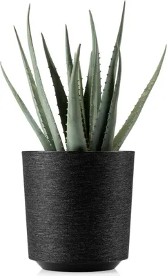 Produktbild von HowHomely | Designer-Pflanzkübel Aloe Texelle, Schwarz - 19,5 x 20 cm - Innovatives Design, Pflegeleicht