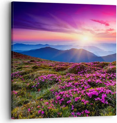 Produktbild von Bild auf Leinwand - Leinwandbild - Wiese Berg Himmel Landschaft - 40x40cm - Wand Bild - Wanddeko - Leinwanddruck - Bilder - Kunstdruck - Wanddekoration - Leinwand bilder - Wandkunst - AC40x40-2719