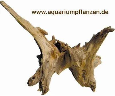 Produktbild von 3 Kienwurzeln 30-40 cm, Wurzel, Wurzeln, Terrarium