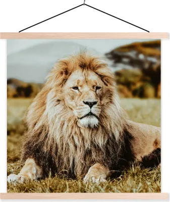 Produktbild von MuchoWow® Textilposter Tiere - Wild - Braun 120x120 cm mit holzfarbenen Rahmen - Textil-Poster