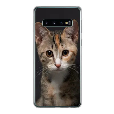 Produktbild von MuchoWow® Handyhülle Schutzhülle Hülle für Samsung Galaxy S10 Katze - Schwarz - Porträt Silikon Softcase Handy Hülle - Handytasche