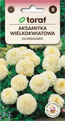 Zdjęcie produktu dla Aksamitka wielkokwiatowa KILIMANJARO 0,3g