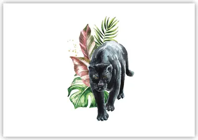Produktbild von Poster - Poster ohne Rahmen - Schwarz Panther Blätter - 100x70 cm - Wand Bild - Wanddeko - Wandbilder - Kunstposter - Wandposter - Bilder - Kunstdruck - Wanddekoration - Wandbild - P2XAA100x70-4813