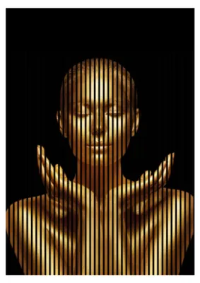 Produktbild von Akustikpaneele mit Digitaldruck Gold01 19 x 1693 x 2400 mm Mensch Statue MDF PET-Fasern Wandpaneele Schwarz Gold 3 Einzelplatten