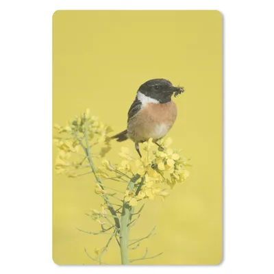 Produktbild von MuchoWow® Mauspad Mousepad Vogel - Pflanze - Gelb 18x27 cm - Mousepads - Maus Mat - Pad - Mausunterlage