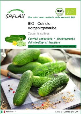 Immagine prodotto di SAFLAX  -- Cetriolo - Vorgebirgstraube - 15 semi - Cucumis