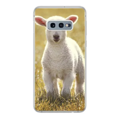 Produktbild von MuchoWow® Handyhülle Schutzhülle Hülle für Samsung Galaxy S10e Schafe - Gras - Sonne Silikon Softcase Handy Hülle - Handy